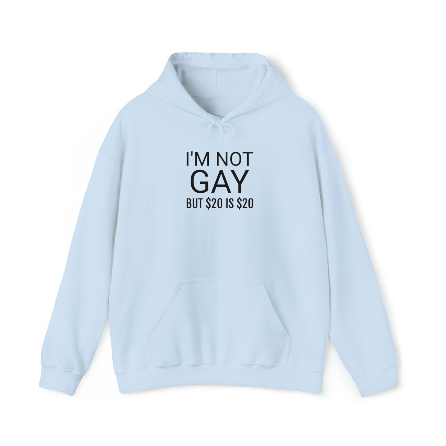 "I'm not gay ($20)" Hoodie