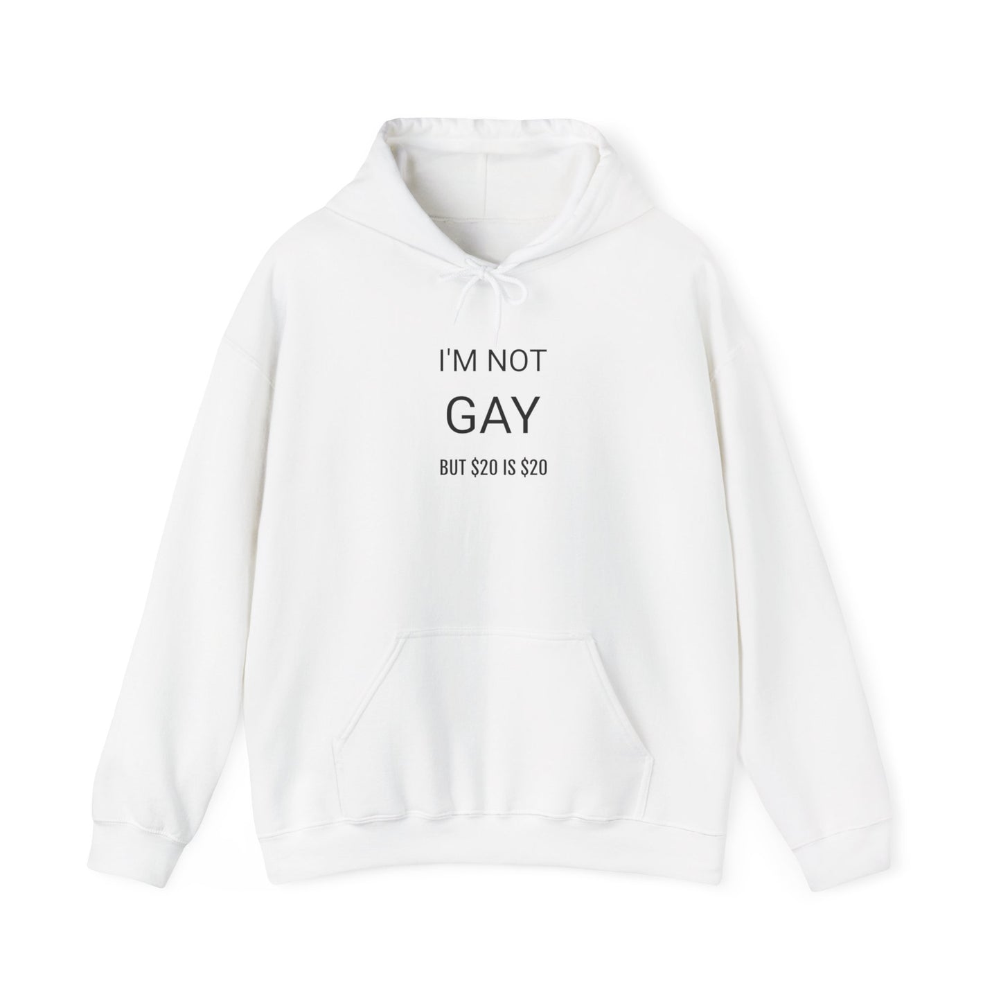 CA "I'm not gay ($20)" Hoodie