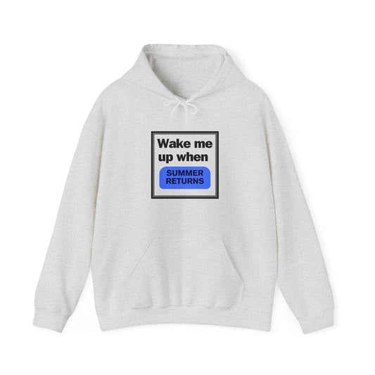 "Wake me up when summer returns" Hoodie