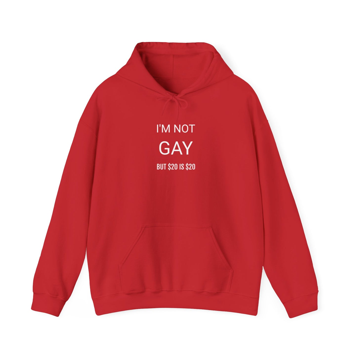 CA "I'm not gay ($20)" Hoodie