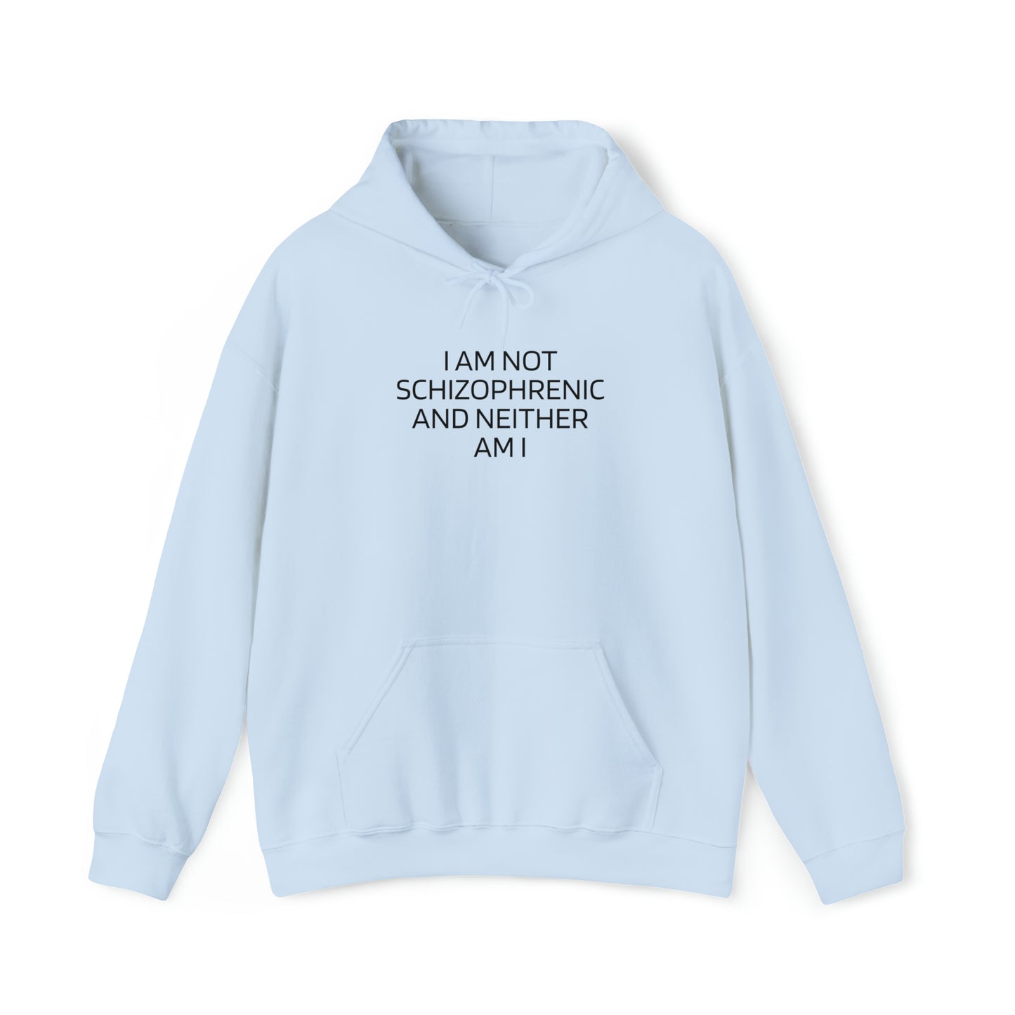 "I am not Schizophrenic" Hoodie