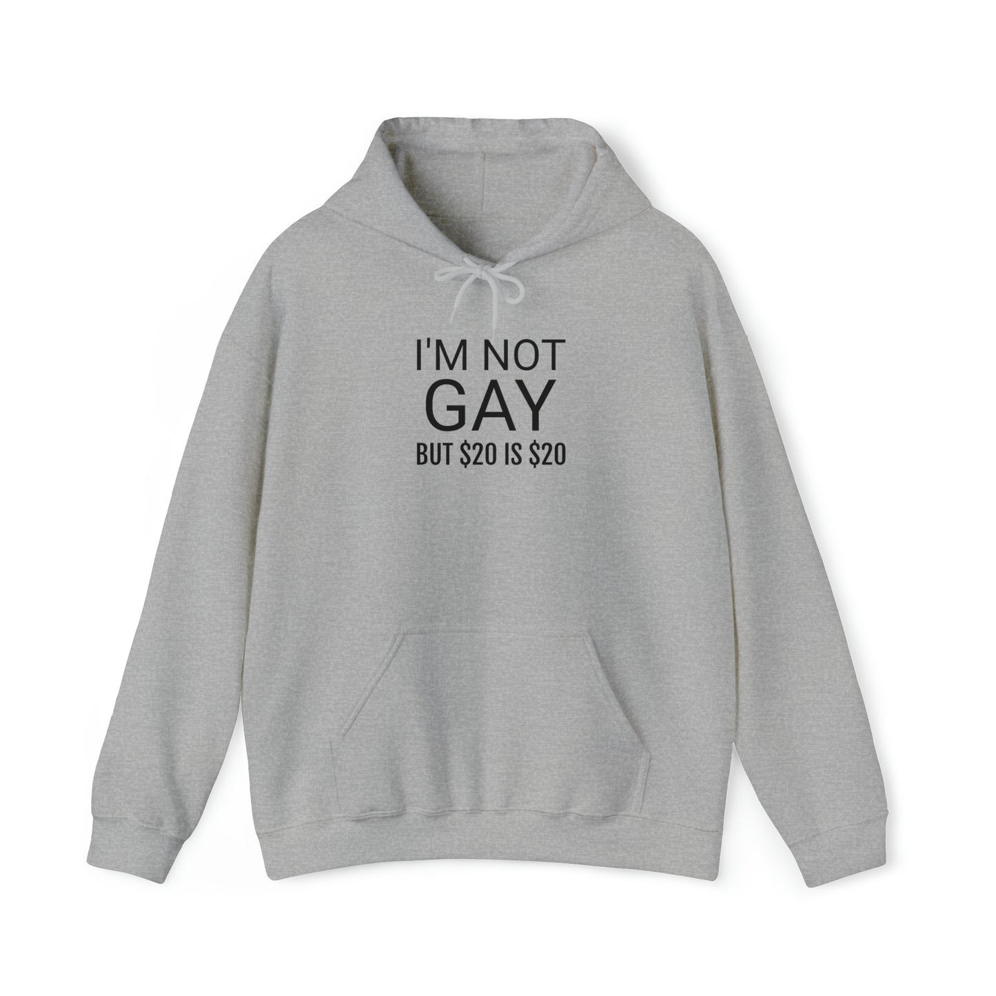 "I'm not gay ($20)" Hoodie