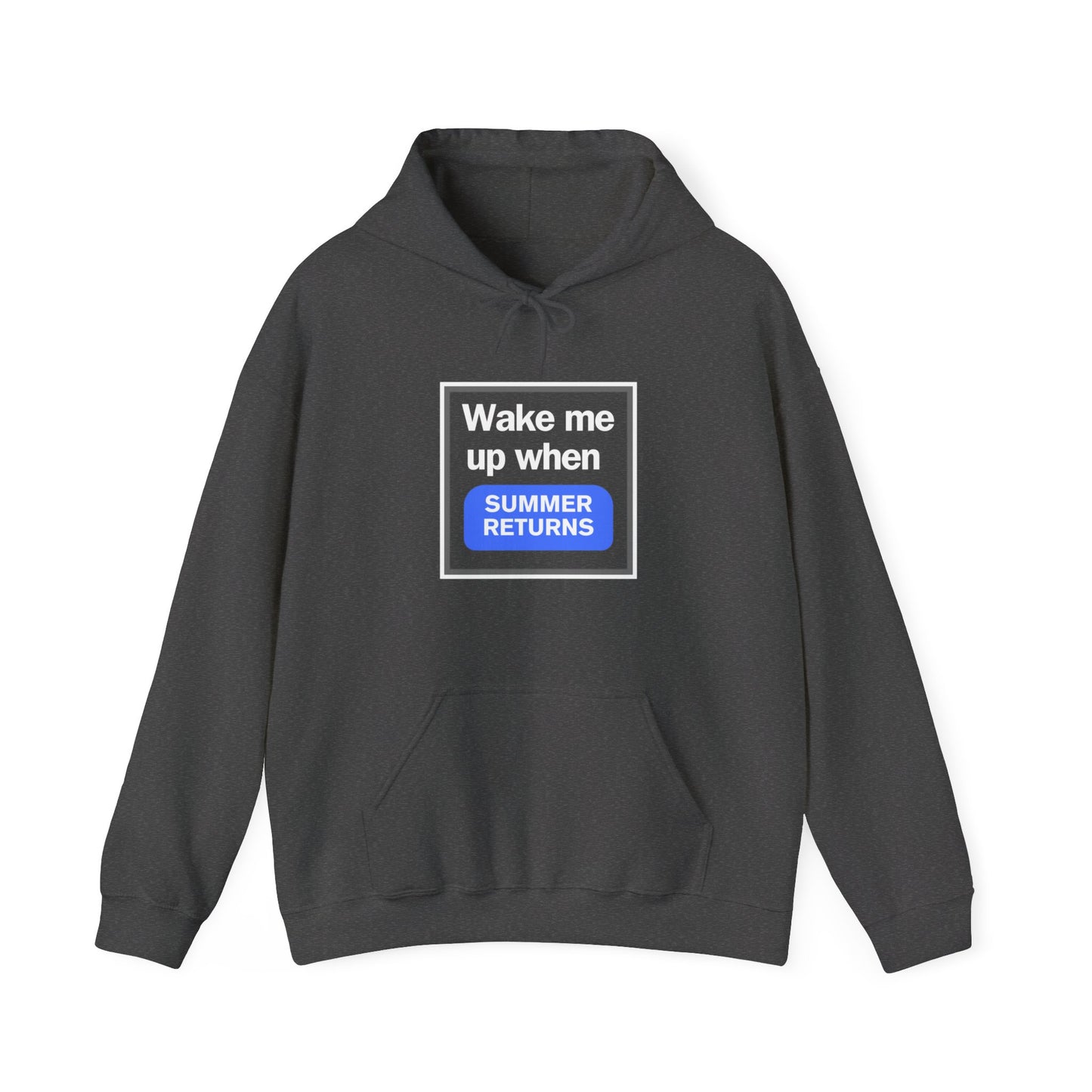 "Wake me up when summer returns" Hoodie