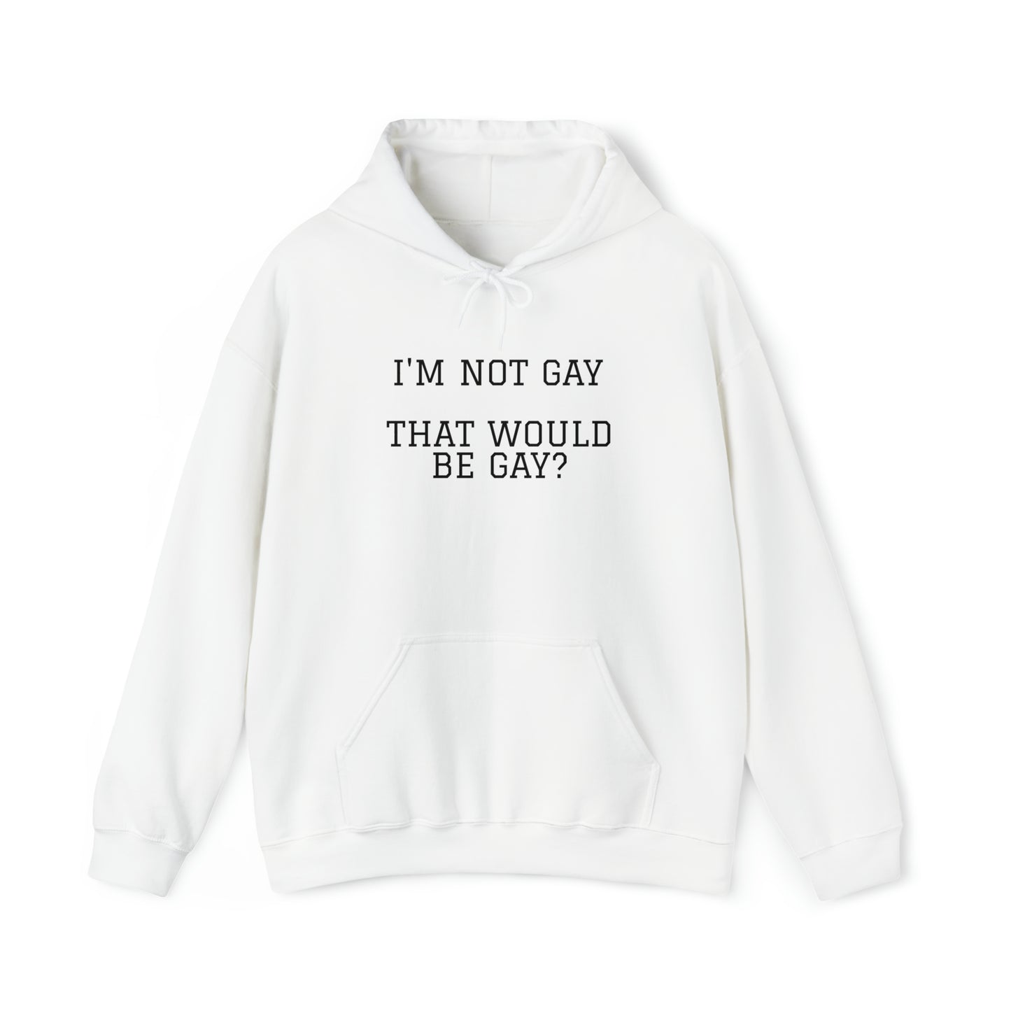 "That would be gay" Hoodie