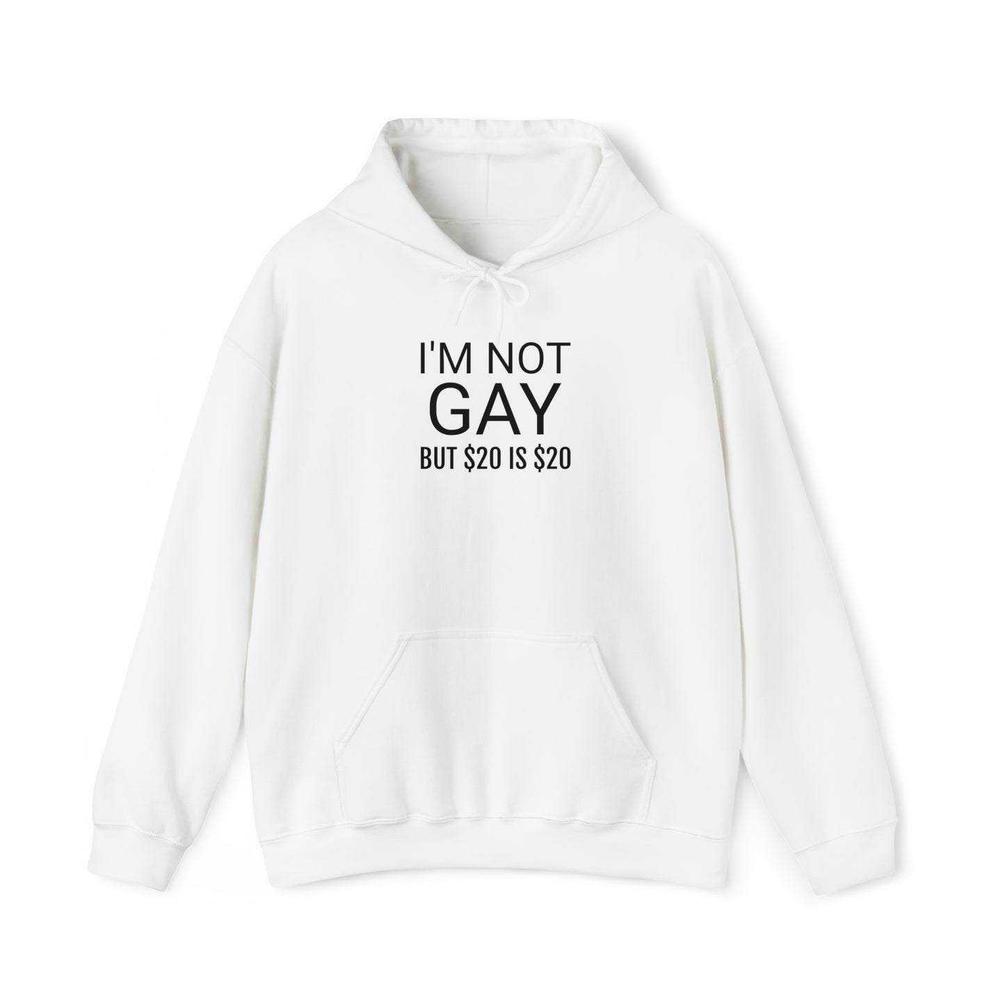 "I'm not gay ($20)" Hoodie